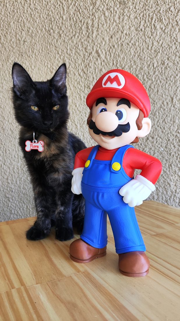 Mario